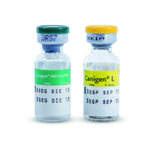 canigen® mh2pp (quintuple)