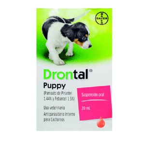 drontal puppy