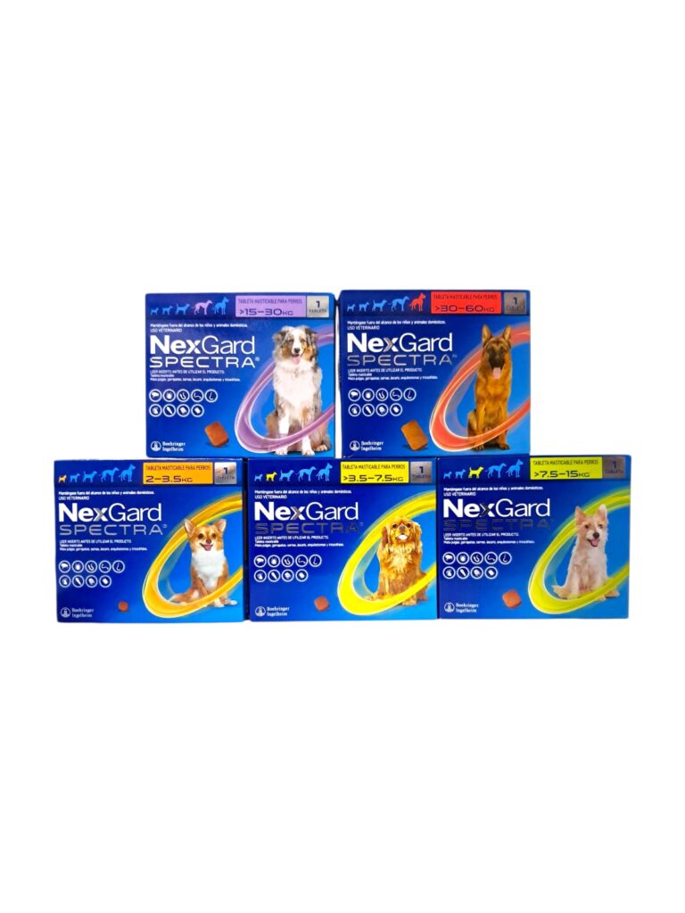 nexgard spectra