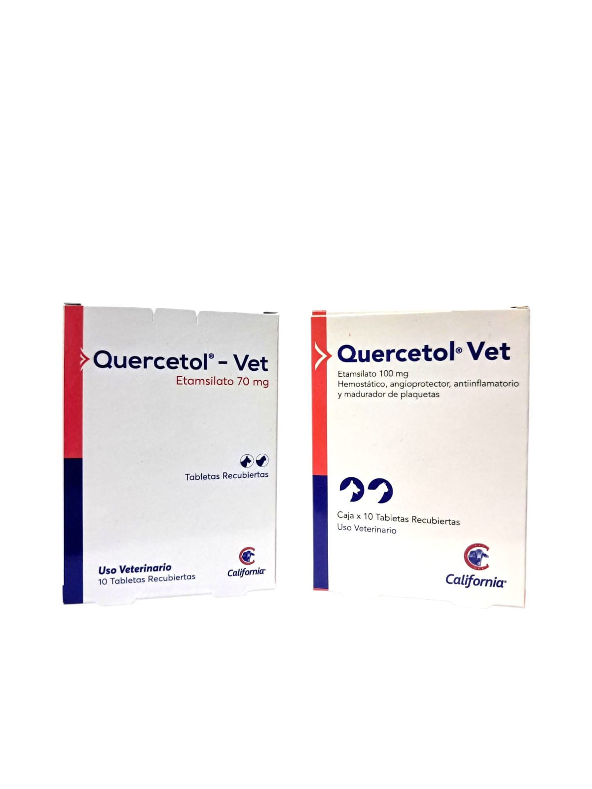 auto draft auto draft