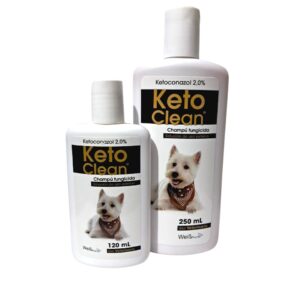 shampoo keto clean