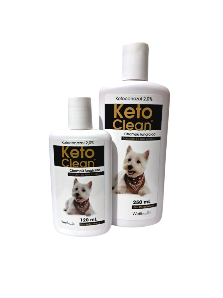 shampoo keto clean